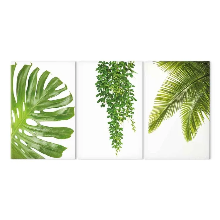 Beautiful Palm Trees (3 Parts)