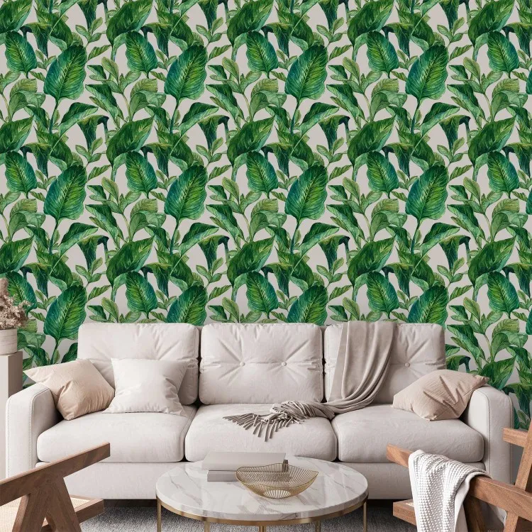 Paradis tropical