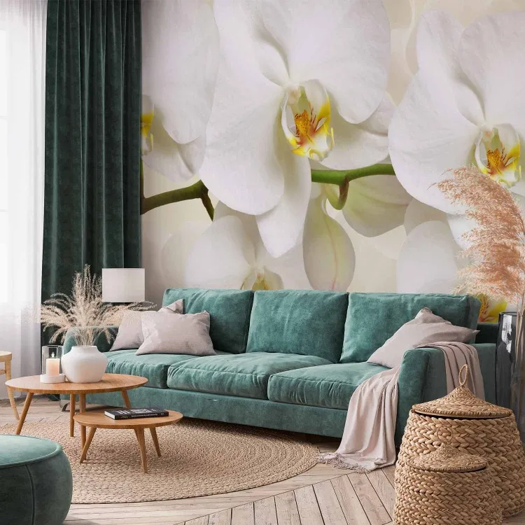 Branche d'orchidée - composition délicate avec fleurs blanches