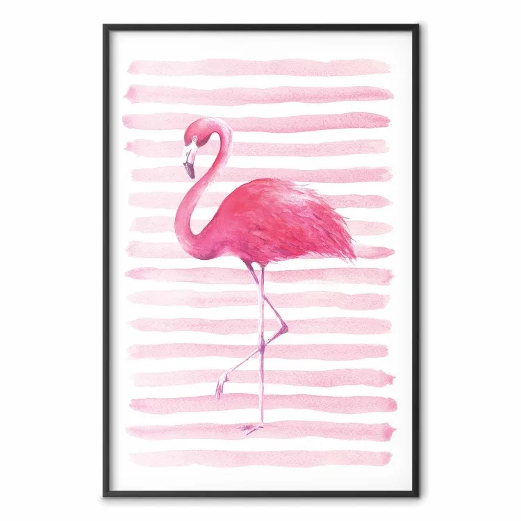 Flamant bandes - Oiseau Rose Bandes