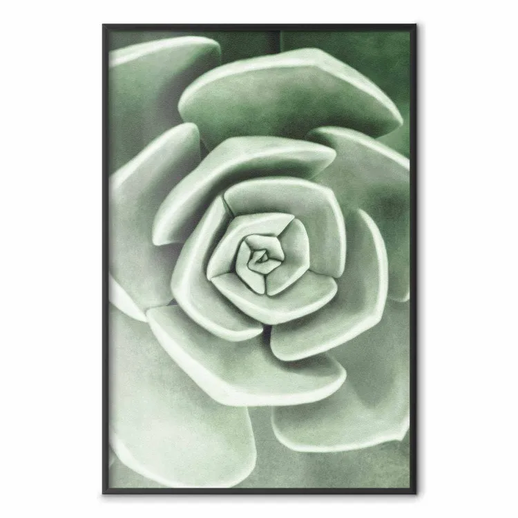 Beau succulent - composition végétale scandinave avec feuilles vertes