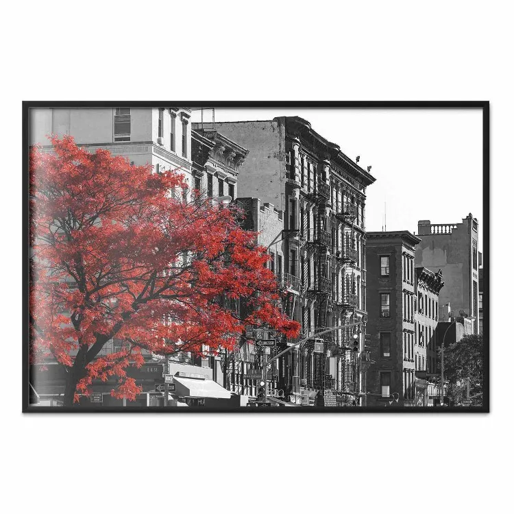 Automne à New York - urbain arbre rouge