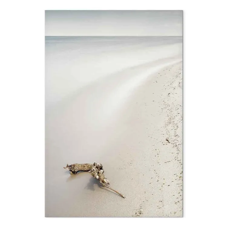 Côte scandinave - mer calme et sable fin sur la plage