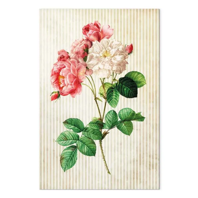 Roses colorées style rétro (1 partie) - nature florale
