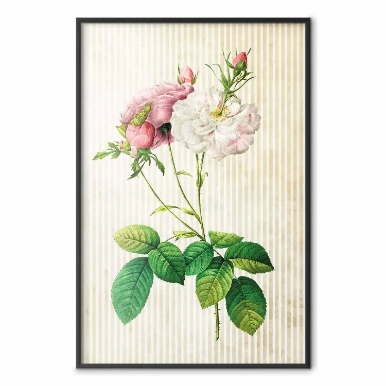 Élégance Florale - Fleurs Rayures Beige
