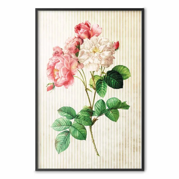 Rose céleste - composition colorée de fleurs