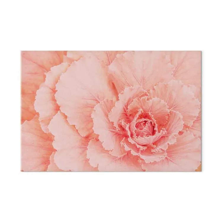 Fleur délicate - une plante subtile de couleur rose naturel