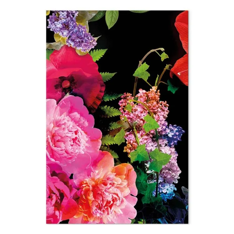 Pouvoir de la nature - couleurs intenses des fleurs sur fond noir