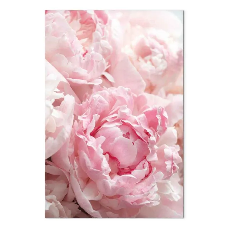 Épanouissement des couleurs de la nature (1 pièce) - pivoine rose