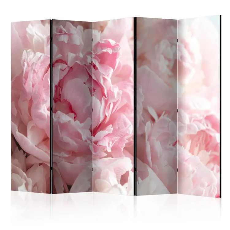 Pivoines douces II - pétales roses de fleurs sous la lumière du soleil
