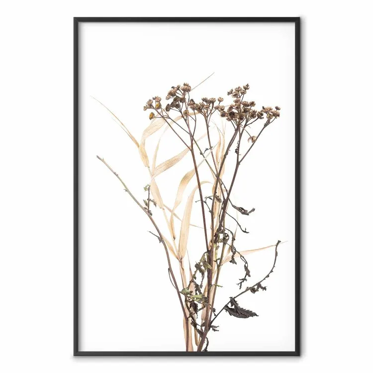 Camomille - composition automnale florale