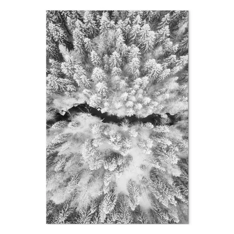 Forêt d'hiver à vol d'oiseau - un paysage hivernal en noir et blanc
