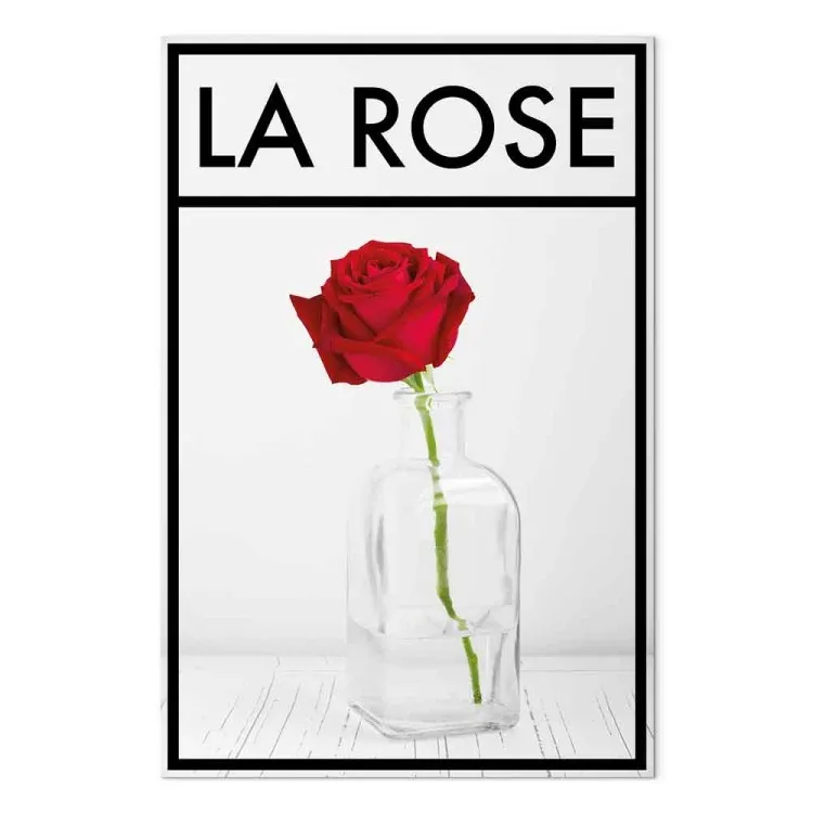 La rose - une fleur de rose rouge vif dans un vase sur un fond gris clair dans un cadre noir et avec le texte en français idéale pour une chambre
