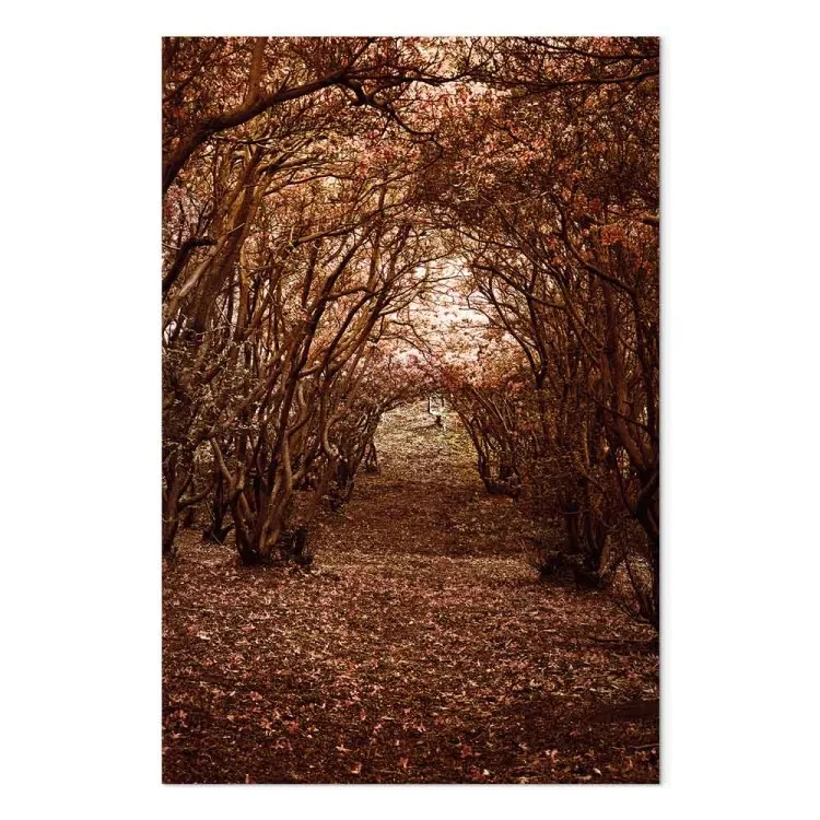 Couloir d'arbres - une forêt automnale couverte de feuilles