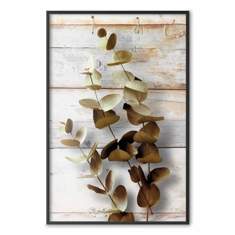 Aube de janvier - plante avec feuilles brunes sur bois