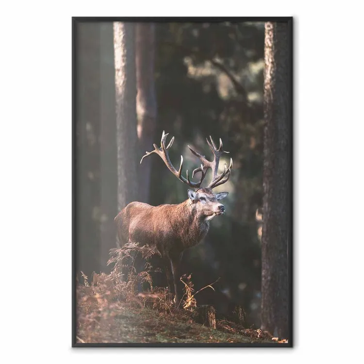 Seigneur des Bois - paysage de cerf dans la forêt