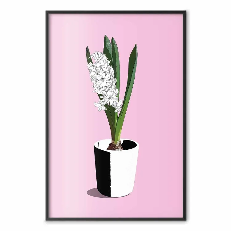 Délicatesse Florale - plante en pot sur fond rose pastel