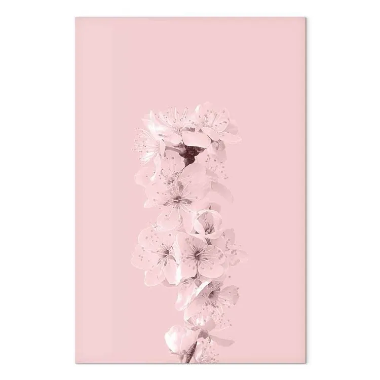 Branche pleine de fleurs de pommier - une composition végétale rose