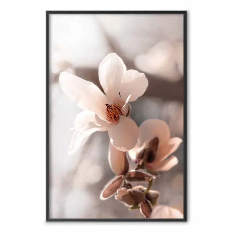 Lumière Printanière - fleur rose sur composition