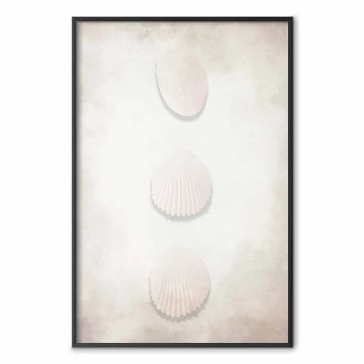Richesse Océanique - coquillages sur sable clair