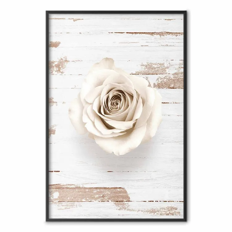 Tourbillon Pastel - rose sur planches claires