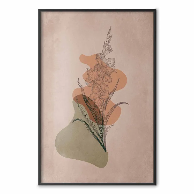 Gladiolus - Abstraction Bohème
