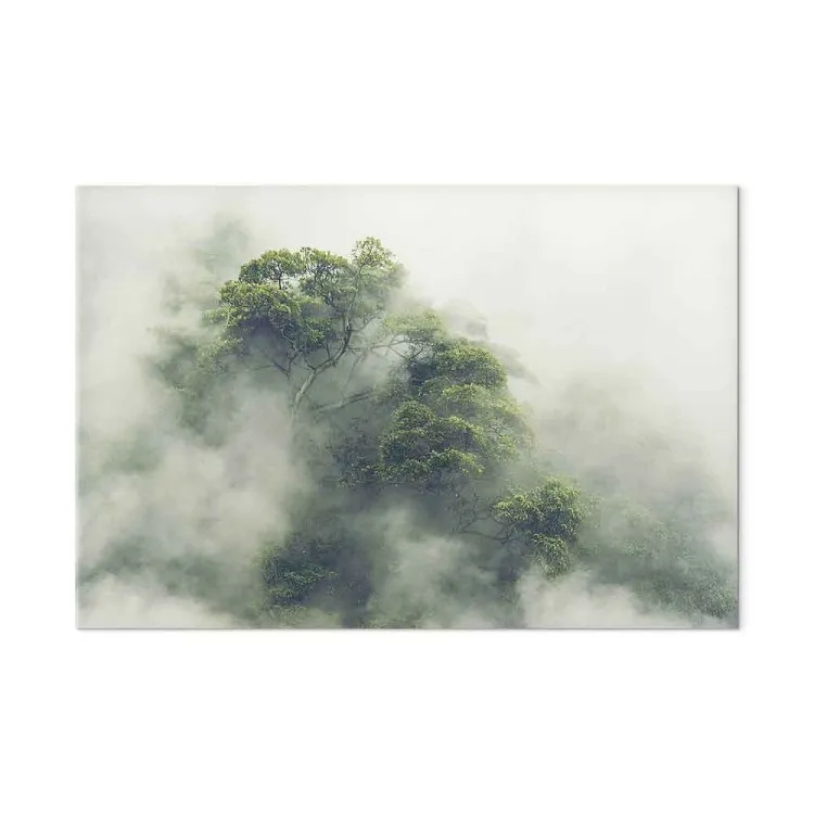 Brume Amazonienne (1 partie) large - paysage exotique brumeux
