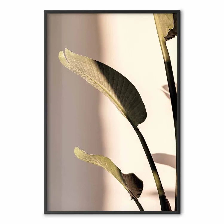 Rythme ensoleillé - composition feuille verte sur fond clair