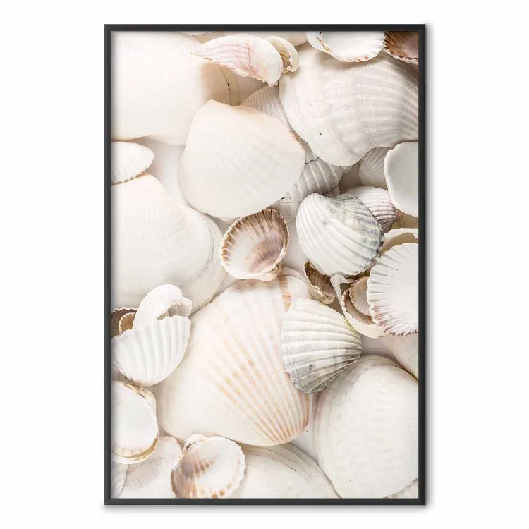 Collection bord de mer