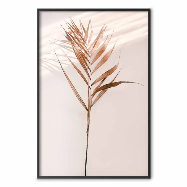 Ombre exotique - plante aux feuilles brunes sur fond de mur uni