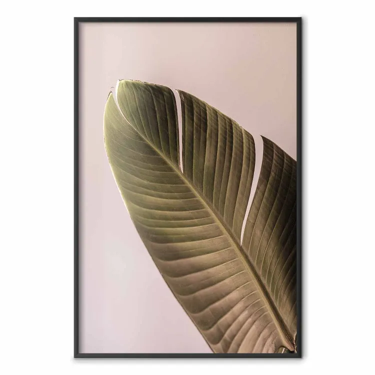 Ambiance banane - feuille de bananier tropical sur fond rose clair