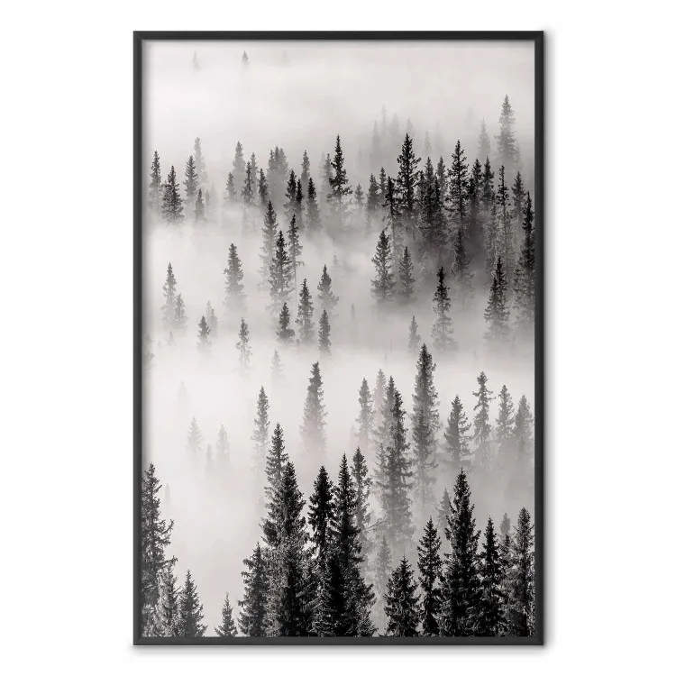 Le fond des bois