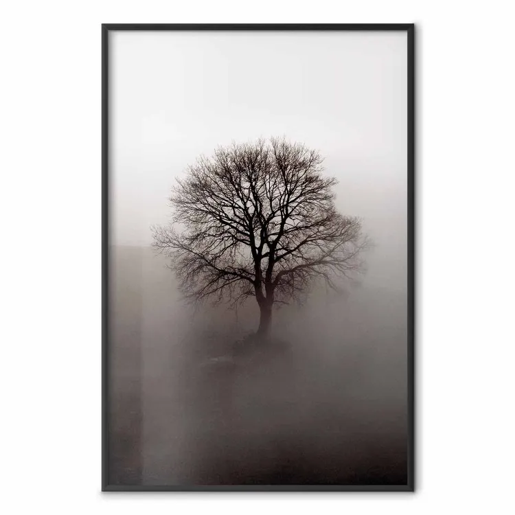 Force Arbre - Arbre Brouillard