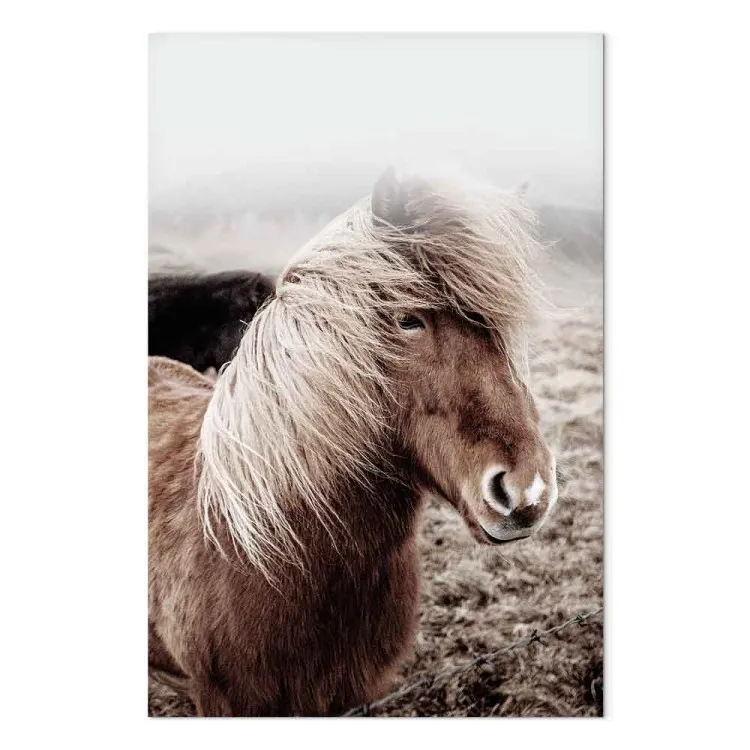 Contre le vent (1 partie) vertical - cheval sur fond noir