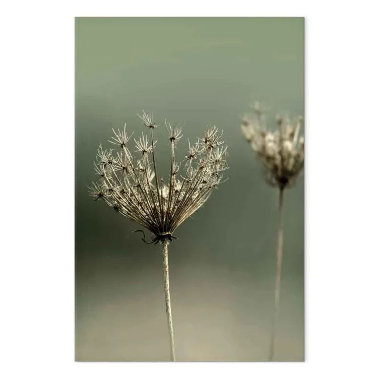 Nostalgie de l'été passé (1 partie) vertical - fleurs en photo
