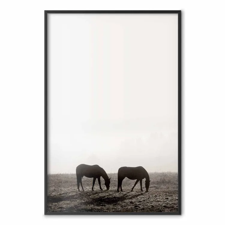 Pause matinale - chevaux dans champ