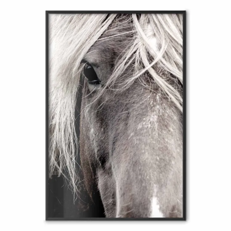 Esprit Libre - Portrait Cheval