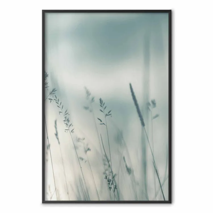 Hautes herbes - paysage de prairie aux couleurs pastel