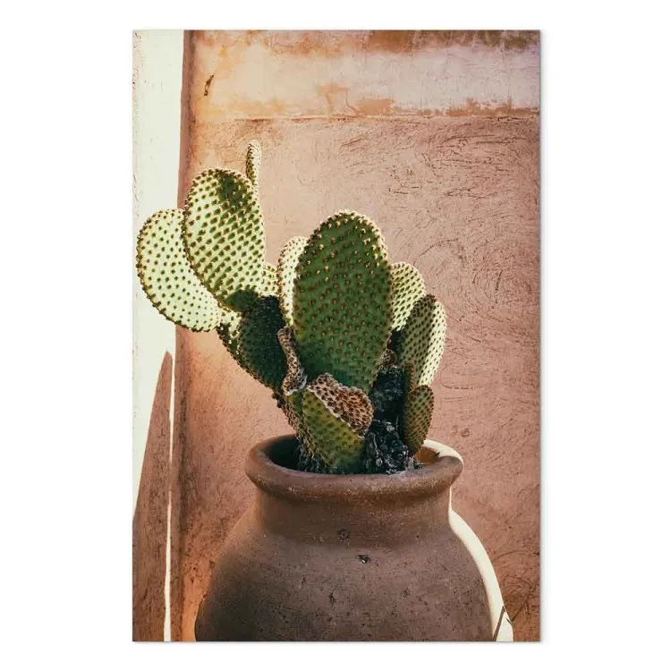 Cactus en pot (1 partie) vertical - Plante verte au Maroc