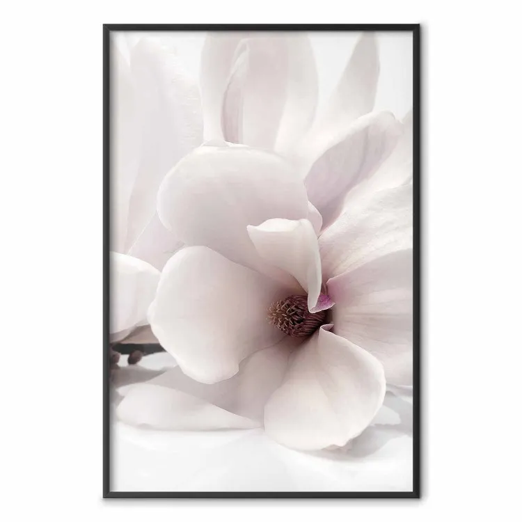Lumière florale - composition végétale de fleur blanche sur fond clair