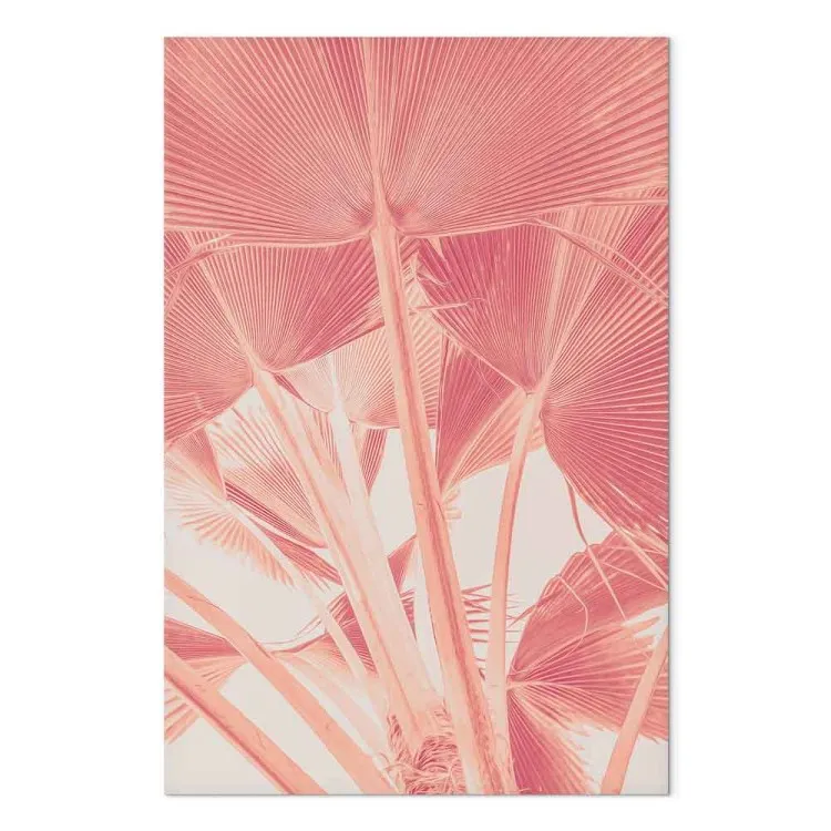 Palmier rose - des feuilles de palmier en rose