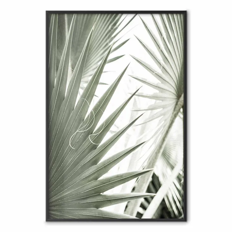 Grande lumière - image tropicale de feuilles vertes sur fond clair