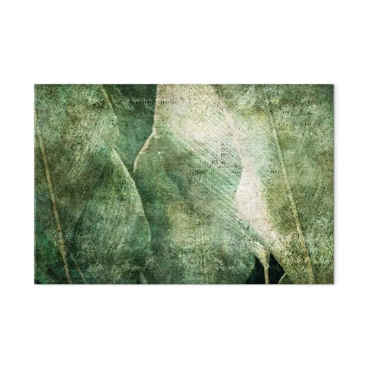 Feuilles énormes - des feuilles d'une plante exotique