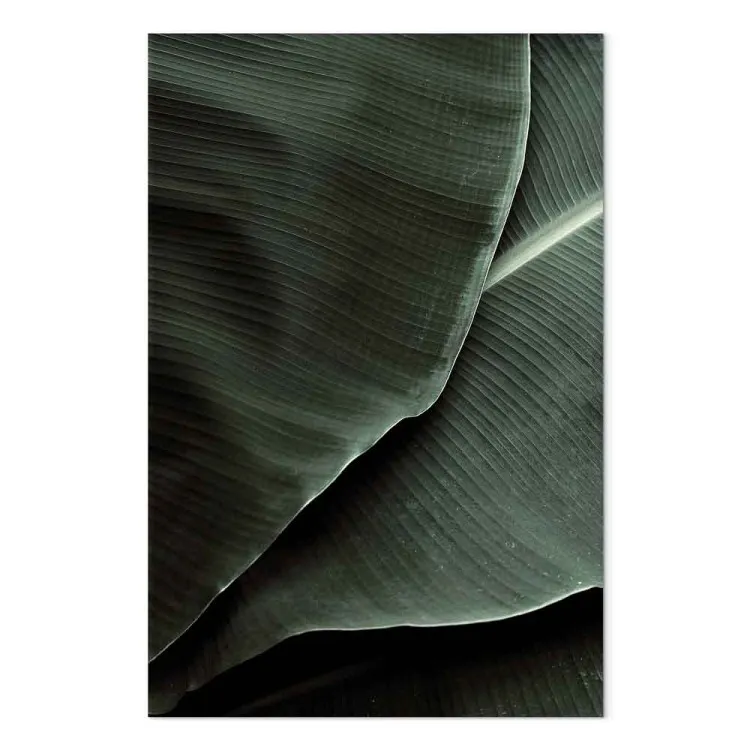 Vert intense - deux feuilles épaisses avec une texture visible