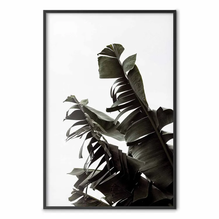Bouquet tropical - composition naturelle de feuilles vertes
