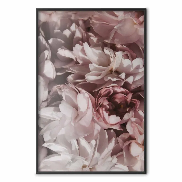 Bouquet de fleurs roses pastel - photographie artistique ne gros plan