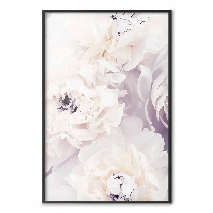 Magnolias vanille - composition florale avec nuances de violet