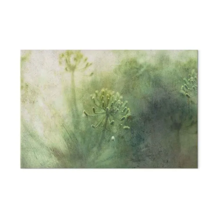 Fleurs dans le brouillard - une végétation verte et sauvage