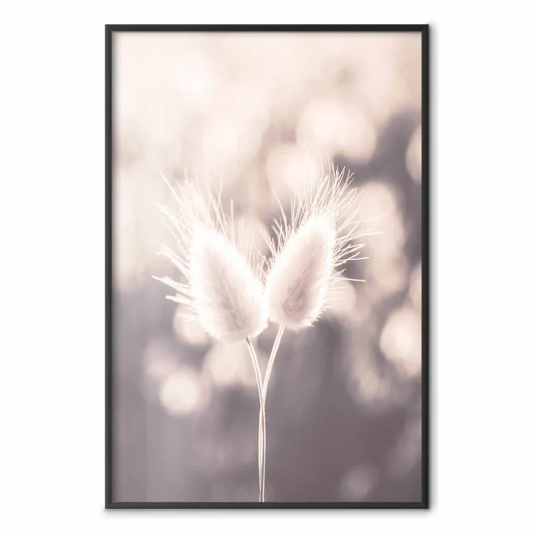Couple - photographie d'une herbe délicate beige