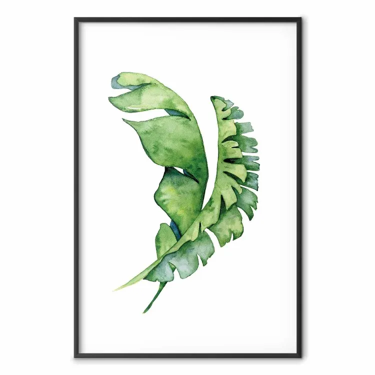 Feuilles entrelacées - plante verte sur fond blanc